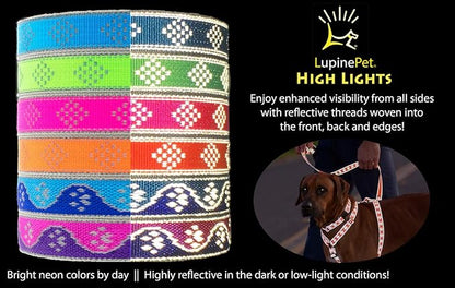 Lupine Reflective Dog Collar 3/4" Wide Blue Paws Adjusts from 13" to 22"