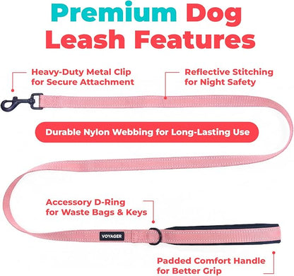 Best Pet Supplies Voyager Reflective Dog Leash or Collar with Neoprene Handle, for Small, Medium, and Large Breed Puppies, Cute and Heavy Duty for Walking, Running and Training - Soft Pink (Leash), M