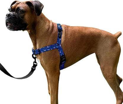 ShawnCo Dream Walk No-Pull Dog Harness- Adjustable, Comfortable, Easy to Use Pet Halter to Help Stop Pulling for Small, Medium and Large Dogs- Art Pattern Designs (White Sharks, S)