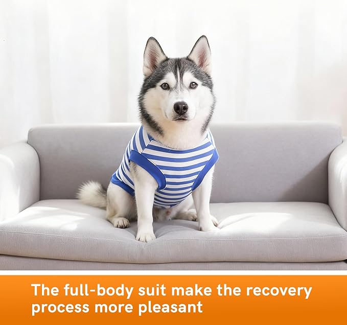 Dog Surgery Recovery Suit Dogs Neuter Spay Female Male Protective Clothes, Blue White L
