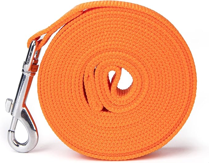 Strong Durable Nylon Dog Training Leash, 1 Inch Wide Traction Rope, 6 ft 10ft 15ft Long, for Small and Medium Dog (Orange, 10 Feet)