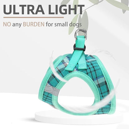 PUPTECK Adjustable Dog Harness Collar and Leash Set Step in No Pull Pet Harness for Small Medium Dogs Puppy and Cats Outdoor Walking Running, Soft Mesh Padded Reflective Vest Harnesses, Lake Green S