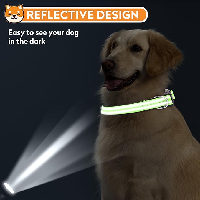 Reflective Dog Collar, Adjustable Soft Neoprene Padded Nylon Pet Collars with Buckle for Medium Dogs, Green,M
