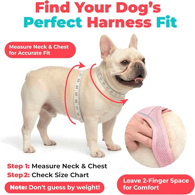 Best Pet Supplies Voyager Step-in Air Harness - All Weather Mesh, Reflective, No Pull Harness for Dogs, Cats - Secure with Hook & Loop Fastener, Buckle, Double D-Rings - Khaki, S