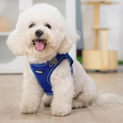 AIITLE Dog Harness, No-Pull Cat Harness with a Leash, Adjustable Reflective Dog Vest, Cat Harness Escape Proof, Outdoor Walking, Running,Training for Extra Small Dogs and House Cats Royal Blue XXXS
