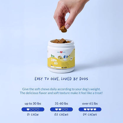 Same for Dogs - 90 Soft Chews - S-Adenosyl-L-Methionine, Liver Supplement - Brain Health, Promotes Cognitive Support, Liver Support (Same Soft Chews)