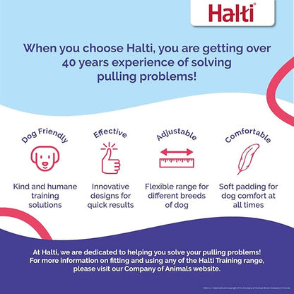 Halti Headcollar - Stop Your Dog Pulling on The Leash. Adjustable, Reflective and Lightweight, with Padded Nose Band. Dog Training Anti-Pull Collar for Medium Dogs (Size 3, Desert Sand)