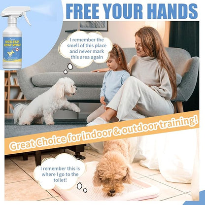 16 Oz Ideal for Training and Housebreaking | Effective Training Spray for Dogs to Stop Unwanted Marking and Messy Urination