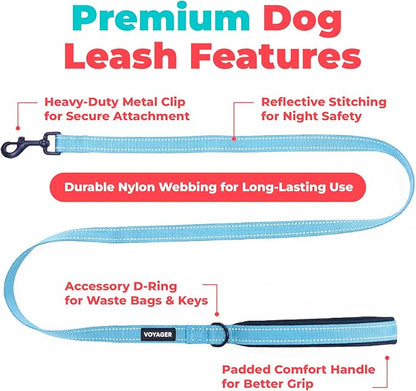 Best Pet Supplies Voyager Reflective Dog Leash or Collar with Neoprene Handle, for Small, Medium, and Large Breed Puppies, Cute and Heavy Duty for Walking, Running and Training - Baby Blue (Leash), M