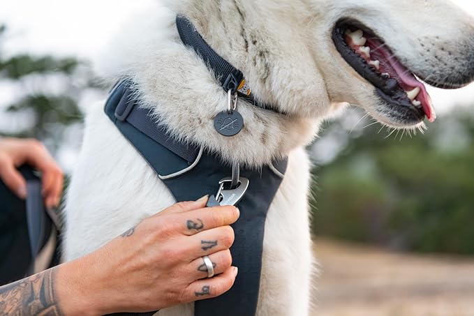 Ruffwear, Front Range Dog Collar, Adjustable Tubelok Webbing, Lightweight, Side Release Buckle, Aluminum V-Ring, Durable for Everyday Use, Basalt Gray, 14"-20"