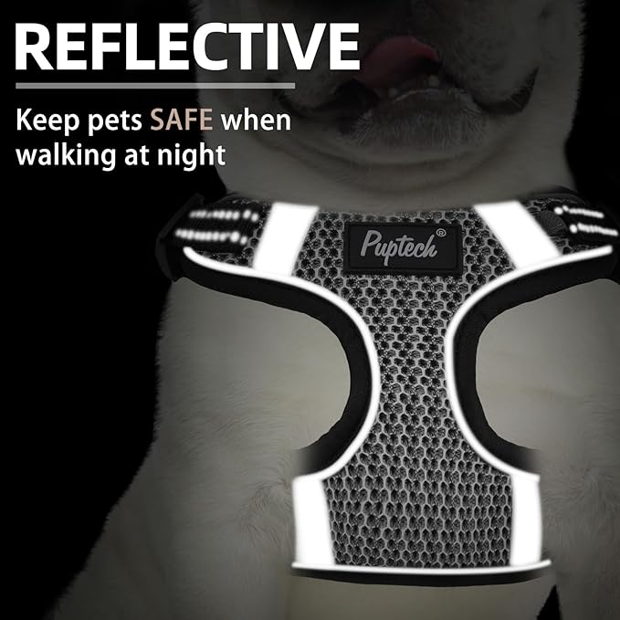 PUPTECK Dog Harness and Leash Set Medium Sized, Step in No Pull Adjustable Puppy Cat Harness Reflective Pet Vest