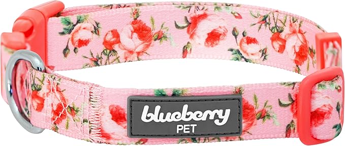 Blueberry Pet 7 Patterns Spring Scent Inspired Pink Dog Collar, Medium, Neck 14.5"-20", Dog Collars, Puppy Collar, Flowers for Dog Collars Girl, Purple Dog Collar, Girl Dog Accessories