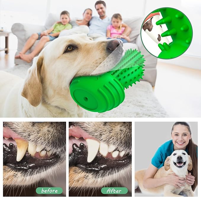 Pamlulu Dog Chew Toys Dog Toothbrush Stick Teeth Cleaning Brush Dental for Medium Large Dog, Puppy Christmas,Easter Birthday Gifts,Outdoor Squeaky Toys for Aggressive Chewers Tough Toys Interactive
