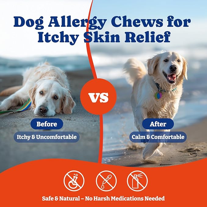 Dog Allergy Relief Chews – 180 Soft Chews, Duck & Pear Flavor - Immune Support & Itch Relief with Colostrum, Astragalus Root, 6-Strain Gut Health Blend