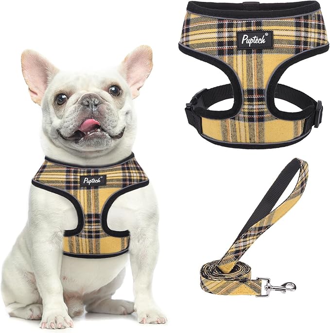 PUPTECK Soft Mesh Dog Harness and Leash Set Pet Puppy Cat Comfort Padded Vest No Pull Harnesses, Yellow, L