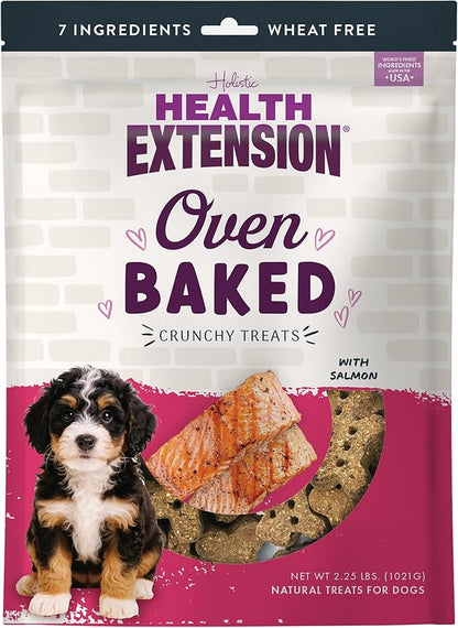 Health Extension Oven-Baked Dog Treats, Salmon Recipe – Gluten & Wheat-Free, Superfood-Infused, Crunchy Biscuits for Puppy Training (2.25 lb)