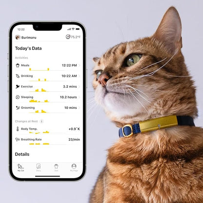 Health Tracker for Cats - Smart Cat Collar with Safety Breakaway Buckle for Indoor Cats, Wellness Alerts, Real-time Monitoring (Kimono (Sakura),XL)