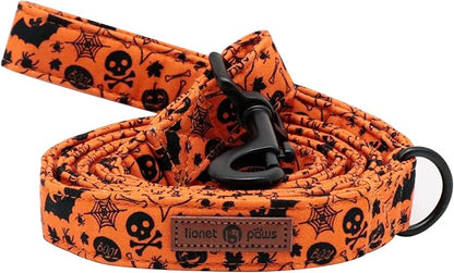 Lionet Paws Dog Leash for Small Medium Dog, Orange, 1in x 5ft