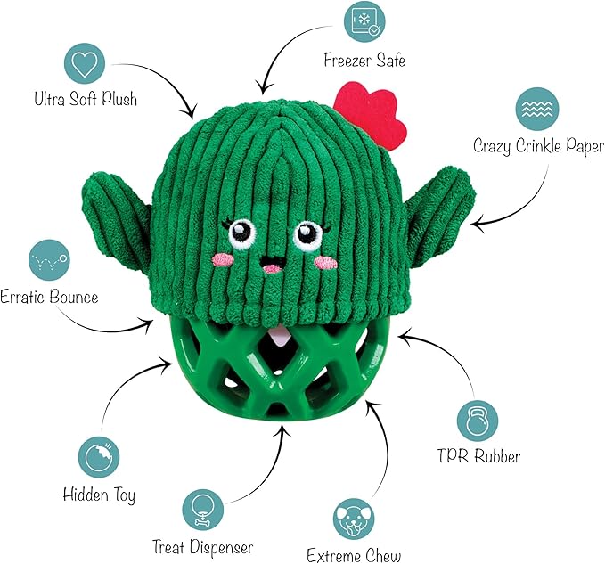 Fringe Studio Rubber Dog Toy, Prickly BUT Sweet, Pet Shop Collection (519055)