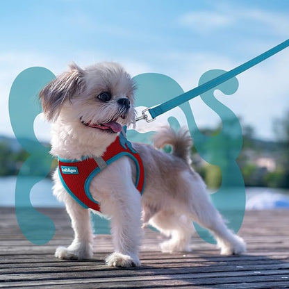 rabbitgoo Dog Harness Small Sized and Leash Set, Step-in Breathable Pet Harness, Soft Walking Reflective Puppy Vest for Small Dogs, Red & Teal, S