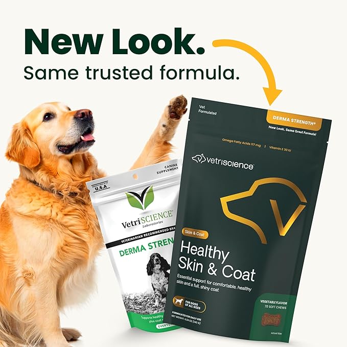 VetriScience Healthy Skin & Coat Chews, Derma Strength Omega-3 Salmon Oil Supplement for Dogs, Omega Skin and Coat Chews, Skin Health, Coat Growth, Veggie, 70 Count