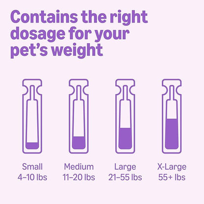 Amazon Basics Preventative Flea and Tick Topical Treatment for Dogs, Large (45-88 lbs), Fast Acting and Long Lasting, 3 Counts, Packaging May Vary