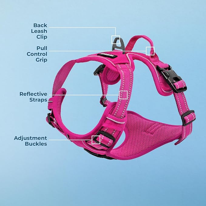 Voyager Dog Harness Dual Leash Attachment No-Pull Control Adjustable Soft but Strong Pet Harness for Medium and Large Dogs with 3M Reflective Technology, Fuchsia Nylon, L (Chest: 25-30")