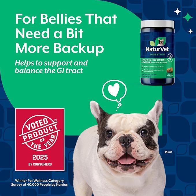 NaturVet Advanced Probiotics & Enzymes, PB6 Dog Soft Chews to Help Sensitive Stomachs and Digestive Issues, Hickory Smoked Bacon Flavored Pet Supplement for Dogs Over 6 Weeks, 240 Count Jar