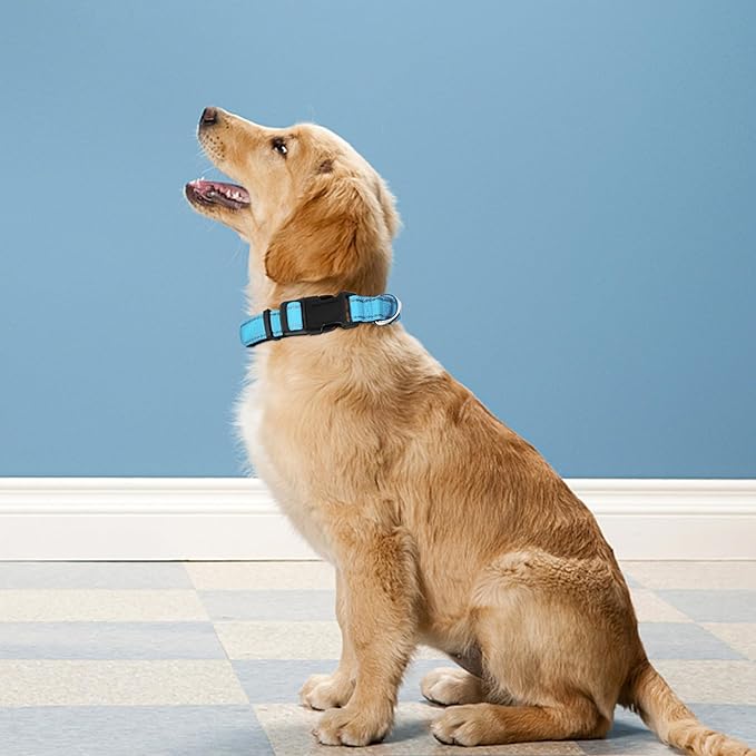 Reflective Dog Collar, Adjustable Soft Neoprene Padded Nylon Pet Collars with Buckle for Extra Large Dogs, Sky Blue,XL