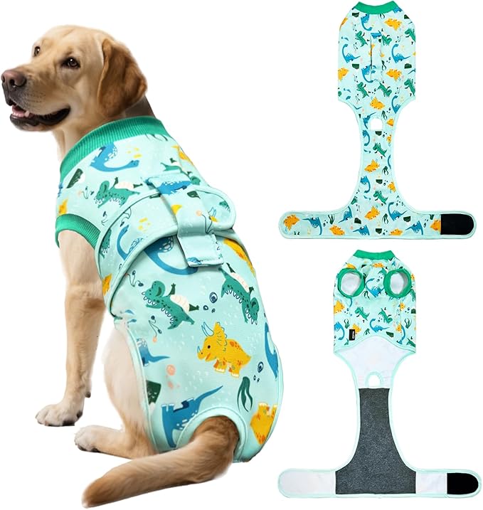 Dog Surgery Recovery Suit, Abdominal Surgical Suit for Male Female Dog Post Spay Neuter, Breathable Pet Onesie E-Collar & Cone Alternative, Surgery Shirt to Prevent Licking, Green, X-Small