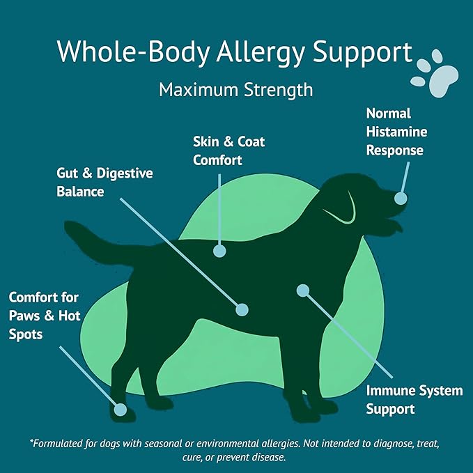 Allergy Relief Dog Chews – Quercetin, Turmeric, Ashwagandha, Probiotics & Colostrum – Seasonal Allergy, Immune & Digestive Support – for Itchy Skin & Hot Spots – All Breeds & Sizes