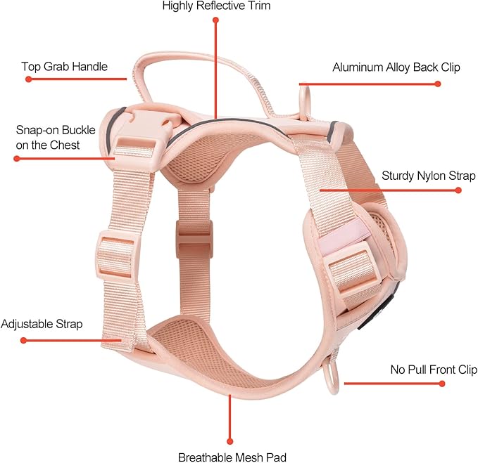 Petmolico Dog Harness for Small Dogs, Cute Harness Vest with Two Leash Clips and Soft Handle, Reflective Easy Walk Puppy Vest - Pink, Large