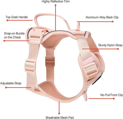 Petmolico Dog Harness for Small Dogs, Cute Harness Vest with Two Leash Clips and Soft Handle, Reflective Easy Walk Puppy Vest - Pink, X-Small