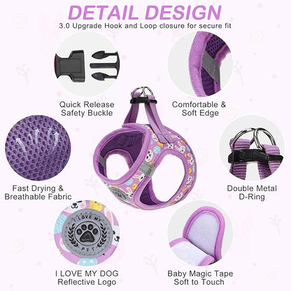 BEAUTYZOO Easter Dog Harness and Leash Set,Step in No Choke No Pull Soft Mesh Dog Harnesses Reflective for XSmall/Small Puppy Dogs Cats, Cute Coloful Egg Dog Vest for Outdoor Walking,Purple S