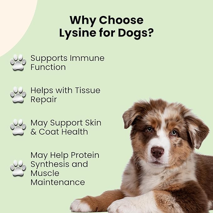 Lysine for Dogs - Dog Sneezing Relief - Dog Allergy Relief - May Help with Respiratory Health, Sneezing, Runny Nose & Much More - L-Lysine for Dogs - 1 fl oz - Bacon Flavor
