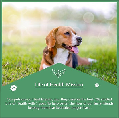 Quercetin for Dogs - Quercetin for Dogs Allergies - Supports Immune, Respiratory, Skin Health & More - Dog Allergy Support - Dog Allergy Relief - 1 fl oz