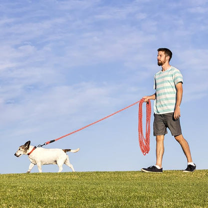 Long Dog Leash for Training 30Ft-Reflective Nylon Rope with Swivel Hook-Recall Agility Lead for Large Small Medium Dogs Outside Walking Hiking-Orange Diam 1/2"