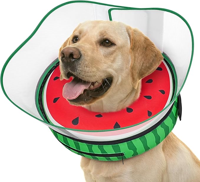 Supet Raised Inflatable Dog Cone After Surgery - Adjustable Recovery Donut Collar with Removable Shield to Stop Licking Wounds & Protect Stitches - Soft Dog Cone Alternative for Dogs (Watermelon,XXL)