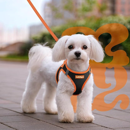 rabbitgoo Dog Harness Small Sized and Leash Set, Step-in Breathable Pet Harness, Soft Walking Reflective Puppy Vest for Small Dogs, Black & Orange, L