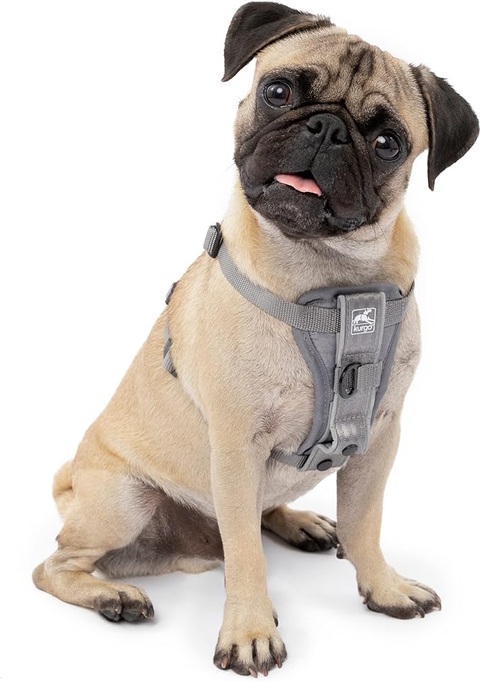 Kurgo Tru-Fit Smart Dog Walking Harness - Comfortable Fit - Adjustable Harness - Reflective Pet Wear - Quick Strap Release - Daily Walk Accessory - Includes Seat Belt Loop - Grey - X-Small