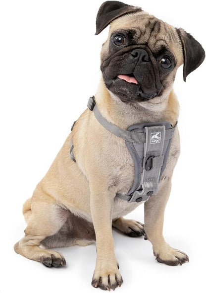 Kurgo Tru-Fit Smart Dog Walking Harness - Comfortable Fit - Adjustable Harness - Reflective Pet Wear - Quick Strap Release - Daily Walk Accessory - Includes Seat Belt Loop - Grey - X-Small