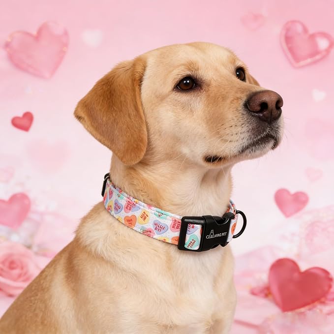ARING PET Valentine's Day Dog Collar, Cute Candy Heart Pet Collars with Quick Release Buckle for Puppy Small Medium Large Boy Girl Dogs-M