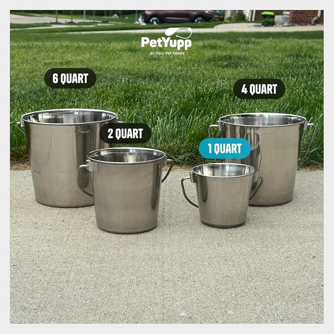 Heavy Duty Stainless Steel Bucket, 1 Quart – Durable Small Metal Bucket for Feeding, Watering Pets & Cleaning – Perfect for Kennels, Critter Crates, Cages and Hanging on Fences