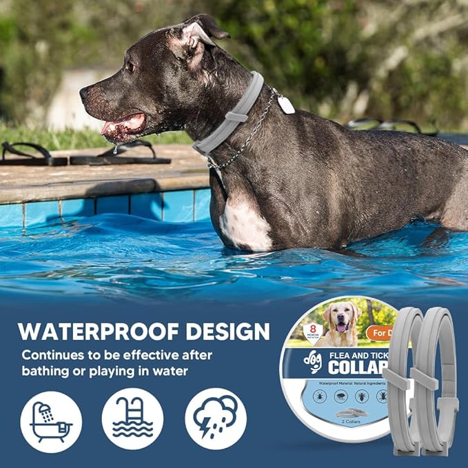 Flea Collar for Dogs, Tick and Fleas Collar for Large Dog, Adjustable Dog Tick Collars for Medium & Large Breeds, Sturdy with 8 Months Protection-Pack of 2