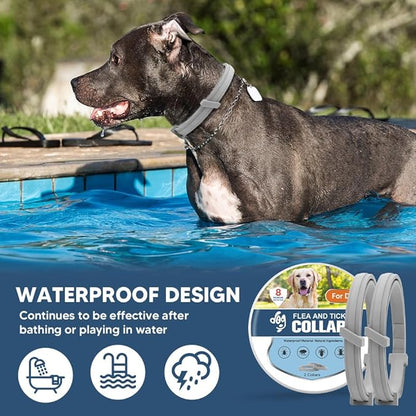 Flea Collar for Dogs, Tick and Fleas Collar for Large Dog, Adjustable Dog Tick Collars for Medium & Large Breeds, Sturdy with 8 Months Protection-Pack of 2