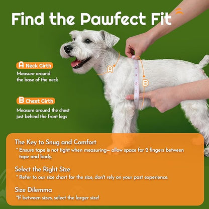 Eagloo Small Dog Harness and Leash Set, Step in Puppy Vest with Breathable Soft Mesh, Walking Reflective Pet Harness for Medium Small Dogs, Green, M