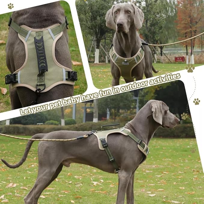 Dog Harness No Pull Adjustable Reflective,for Medium and Large Small Dog with Leash 59.06in (Khaki, XL)
