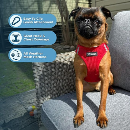 Best Pet Supplies Voyager Step-in Air All Weather Mesh Harness and Reflective Dog 5ft Leash Combo with Neoprene Handle, for Small, Medium and Large Breed Puppies - Set (Red), Medium