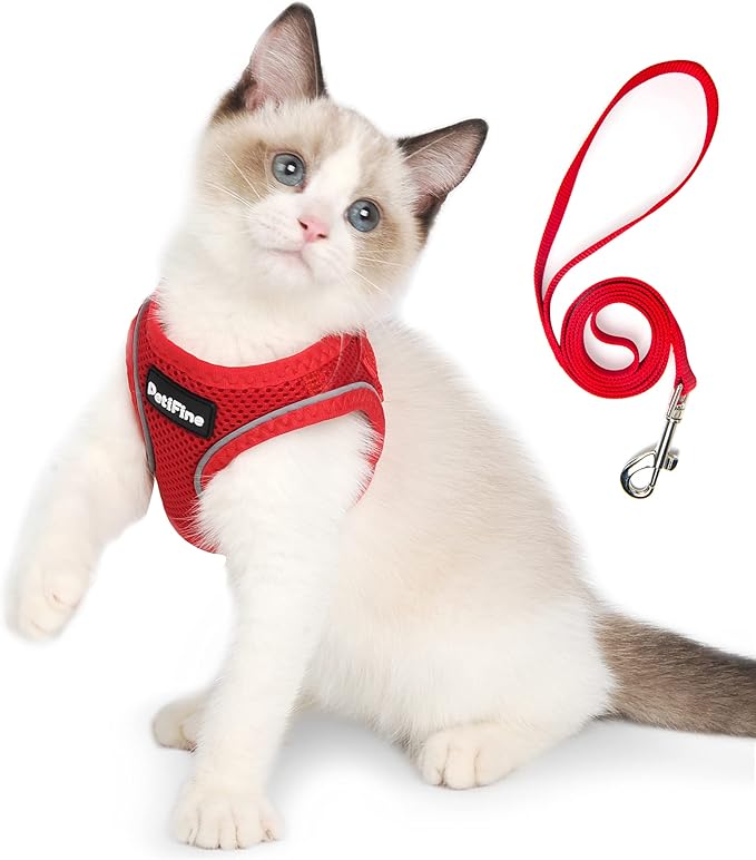 PetiFine Extra Small Step in Dog Harness and Leash Set, Cat Harness and Leash Escape Proof, All Weather Mesh Reflective, Step-in Air Vest Harnesses for Puppy(XXXS, Red)