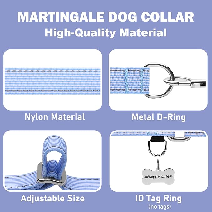 Reflective Martingale Collar for Dogs Nylon Training Collar with No Buckle, No Pull Escape Proof Dog Collar for Small Dogs（Blue Stripe，S）